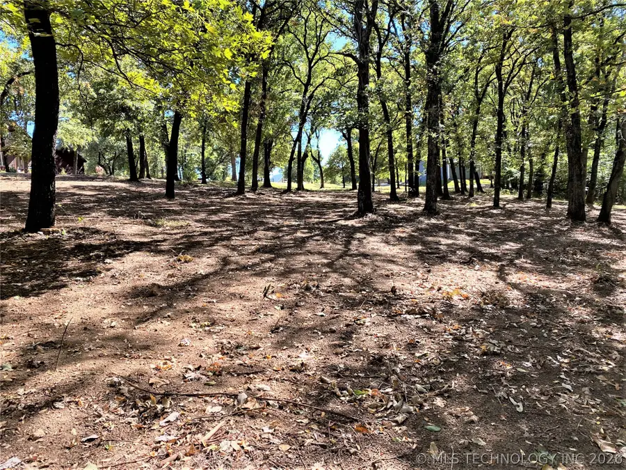 Indian Blanket Lane, Kingston, OK 73439 - #3