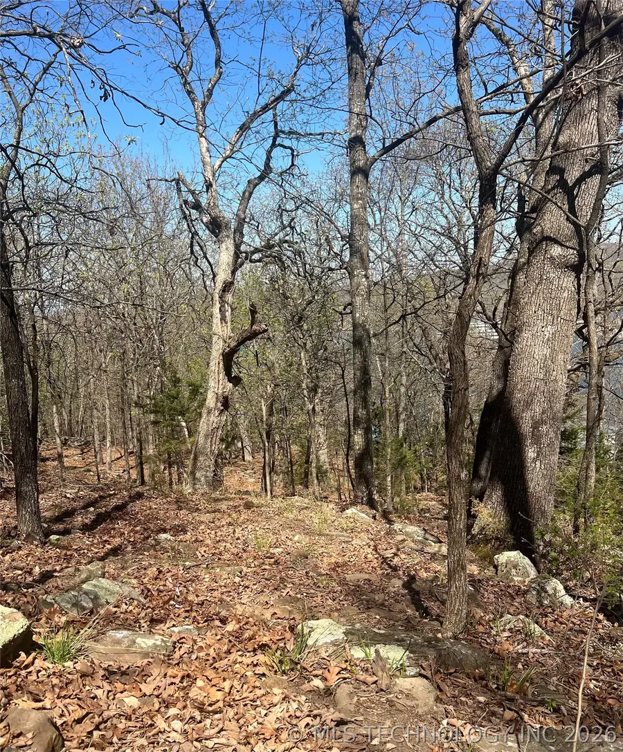 06 S 511 Road, Cookson, OK 74427 - #3