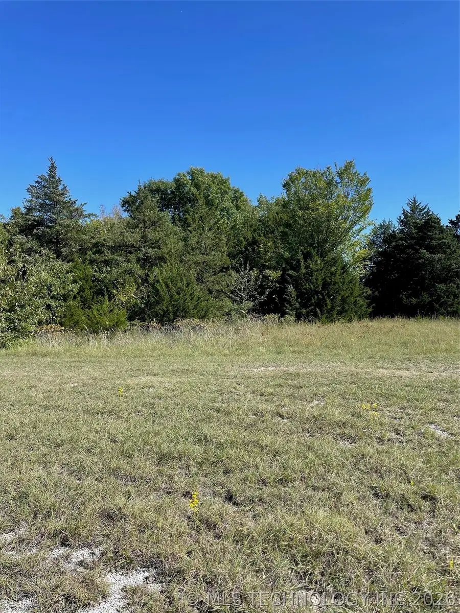 Lilac, Burneyville, OK 73430 - #2