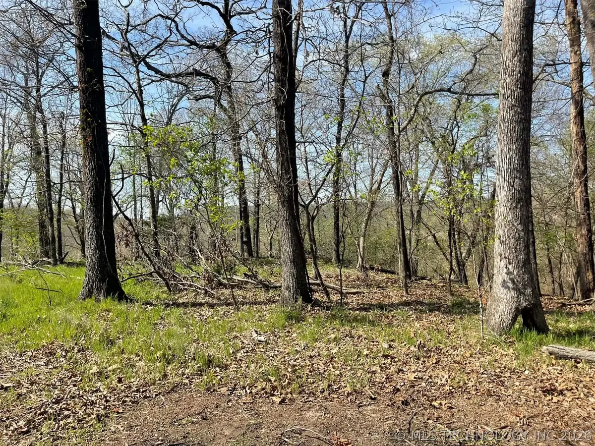 111 W Lakewood Drive W, Park Hill, OK 74451 - #1