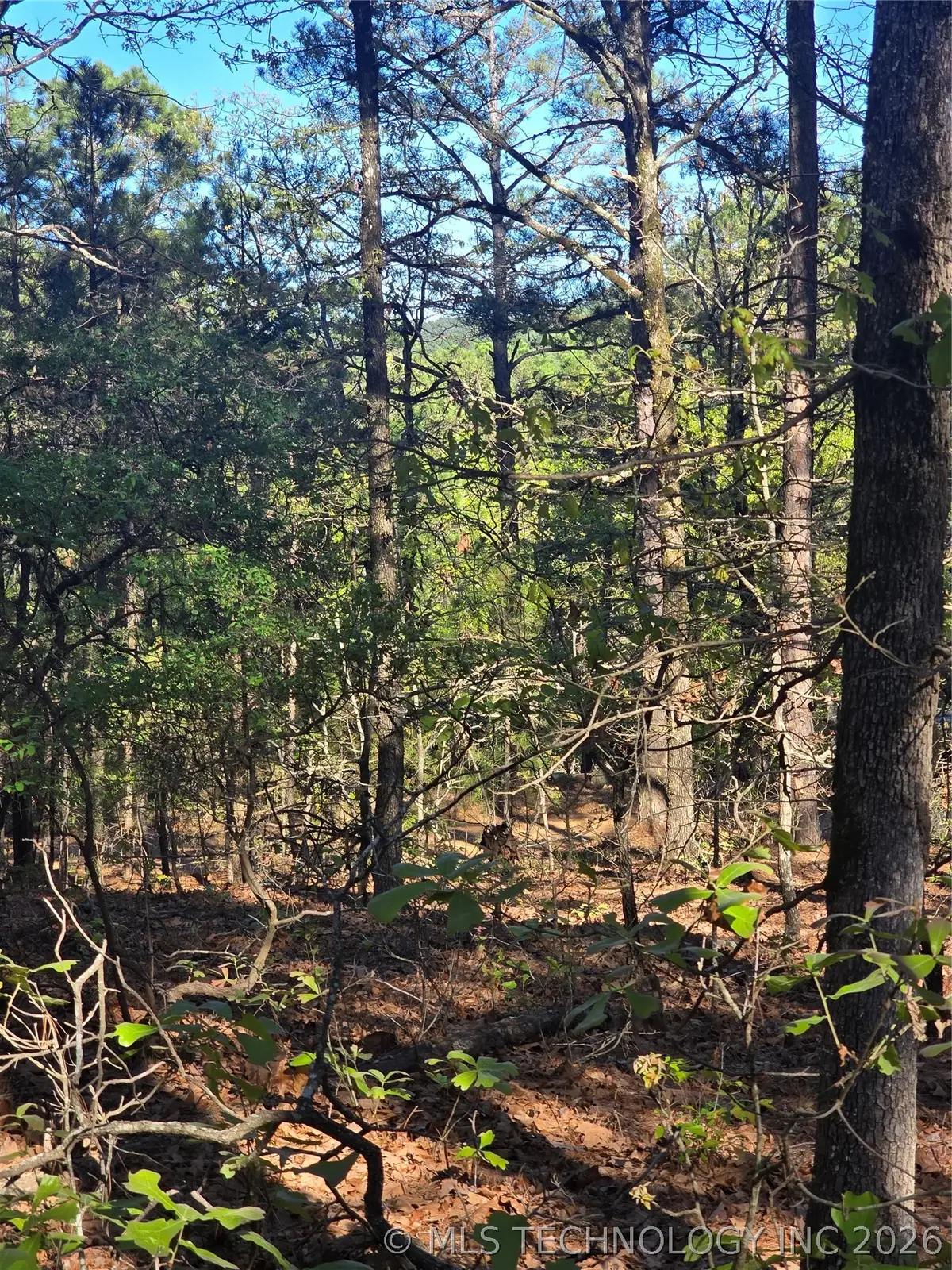 Wolf Trail, Moyers, OK 74557 - #1