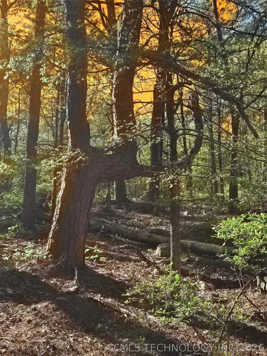 175 SW Sherman, Moyers, OK 74523 - #2