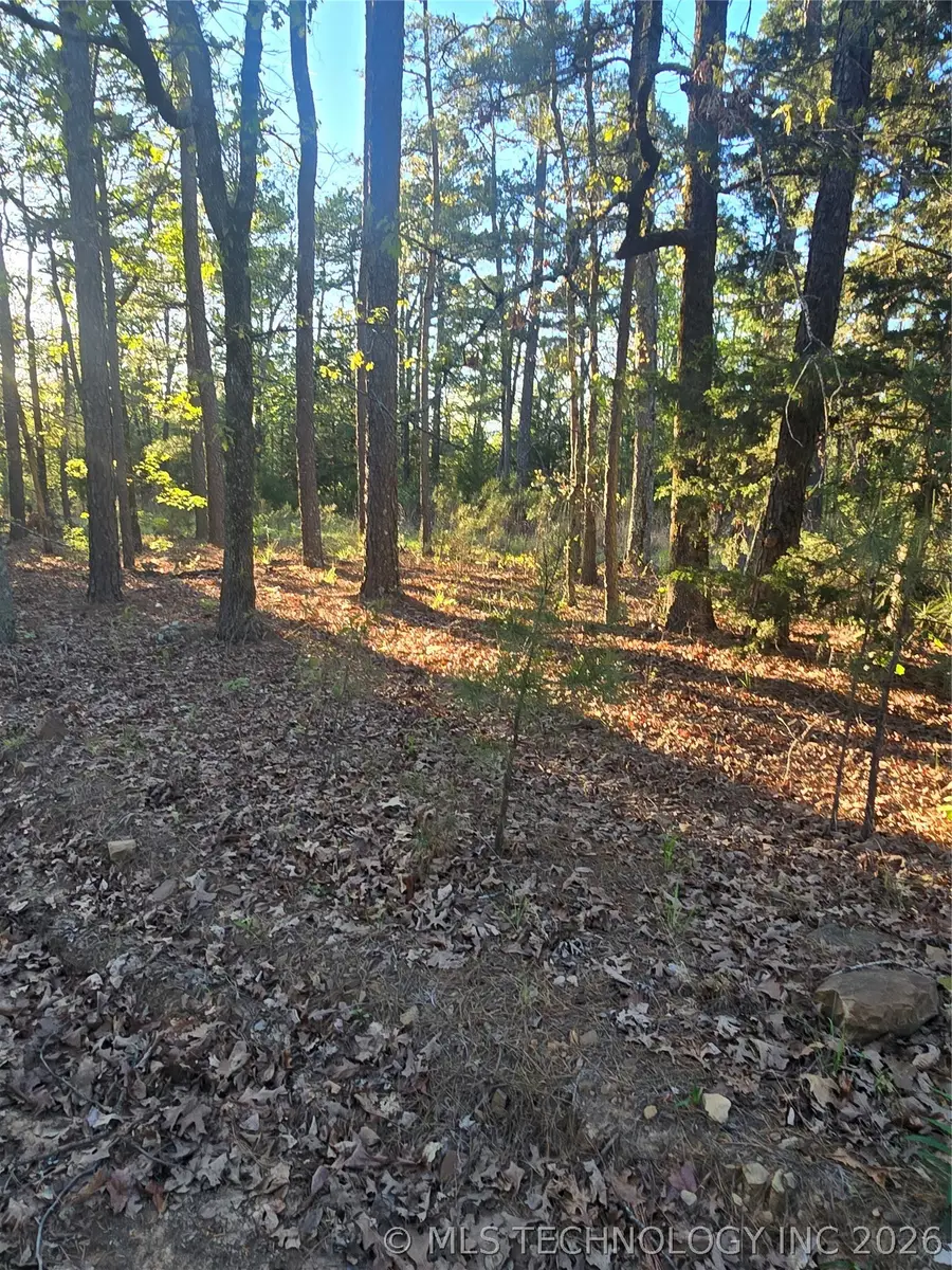 77 NE Little Flat Top, Moyers, OK 74523 - #3