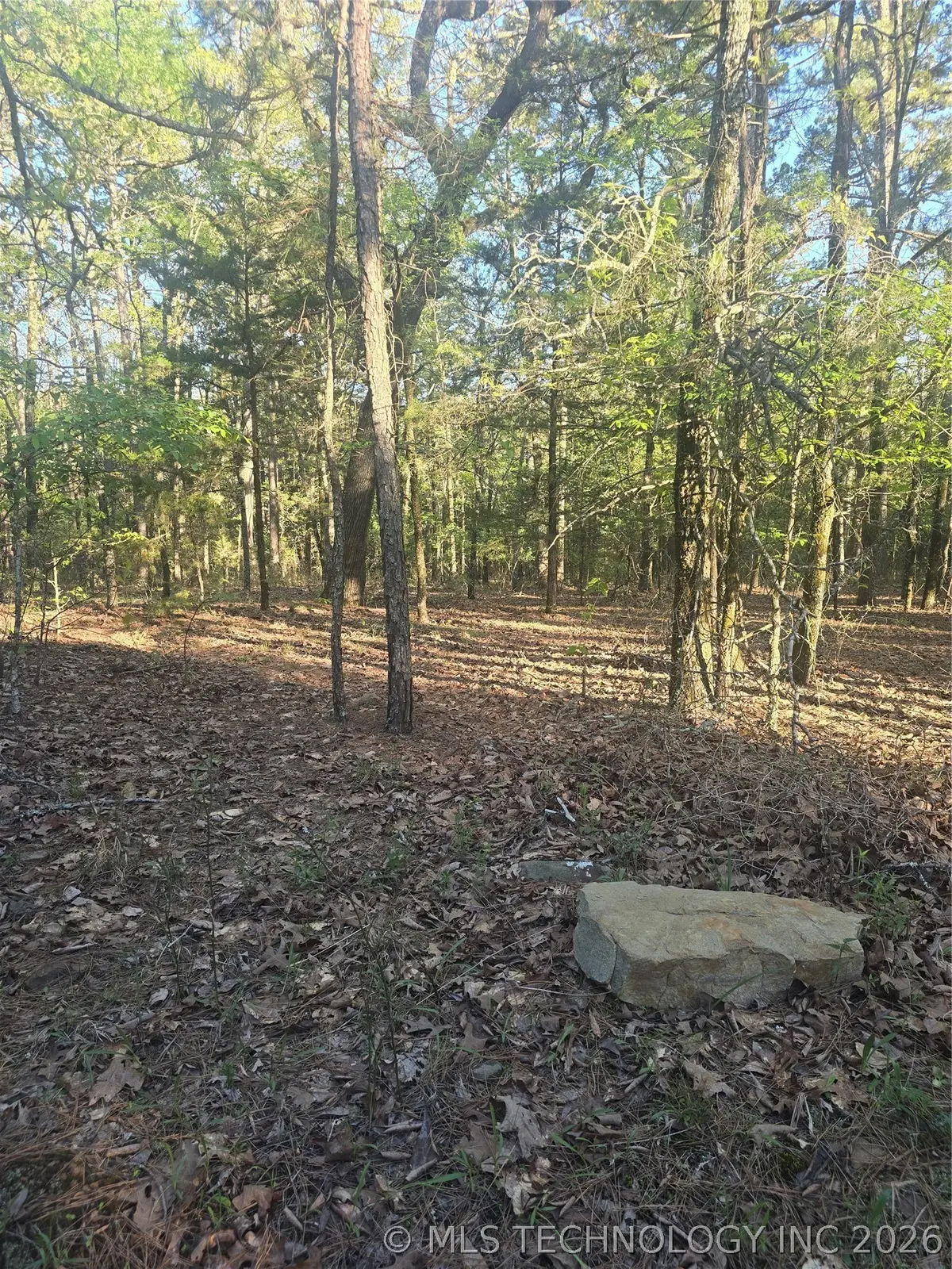 43 Buck Creek, Moyers, OK 74523 - #1