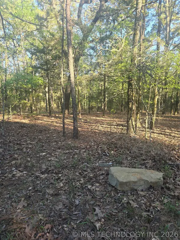 43 Buck Creek, Moyers, OK 74523