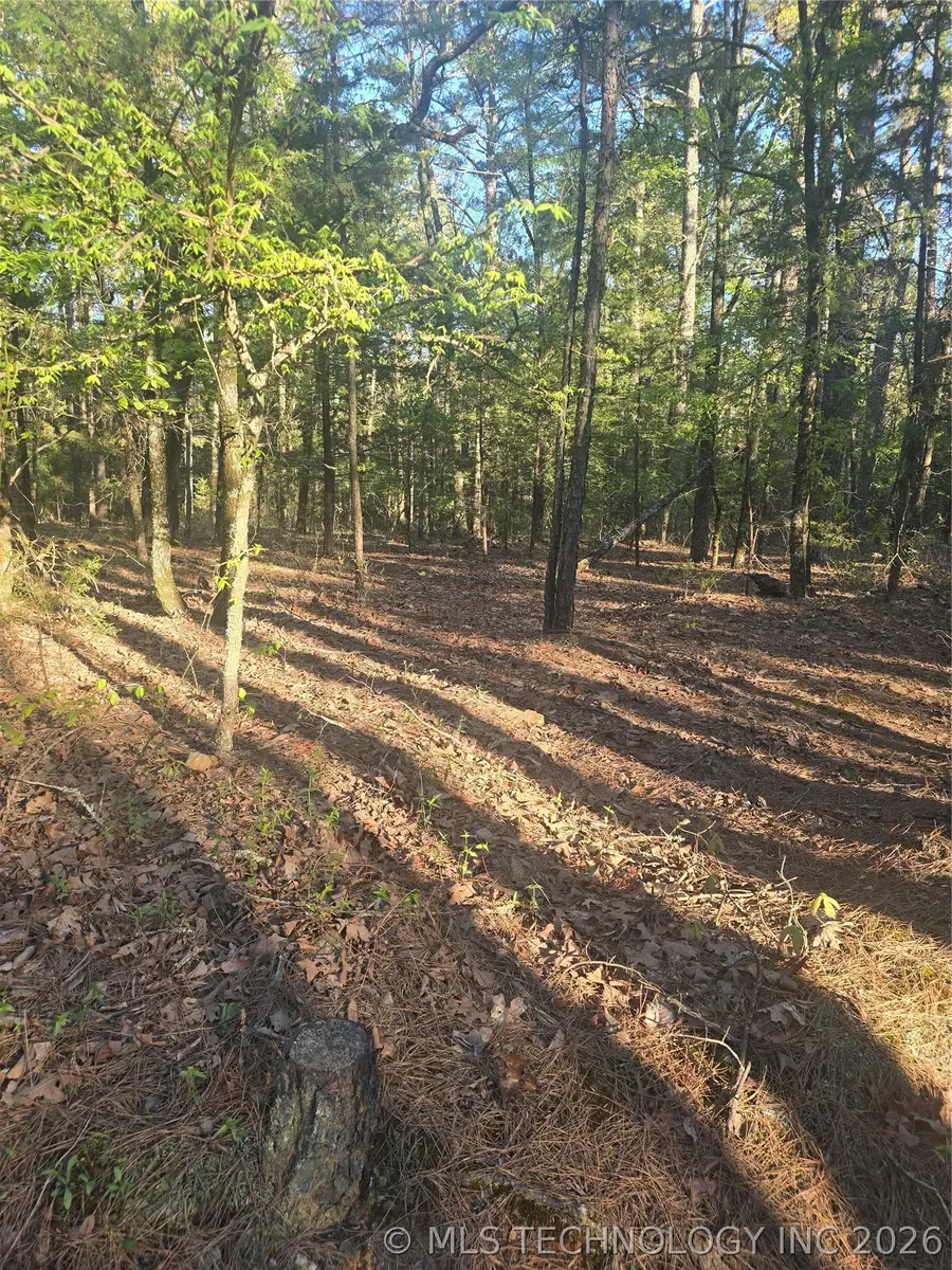 43 Buck Creek, Moyers, OK 74523 - #2