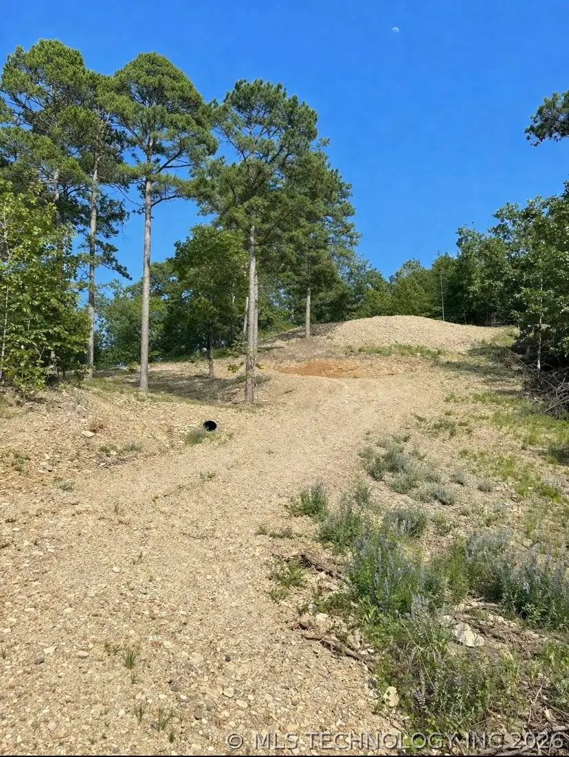 4335 Road, Tuskahoma, OK 74574 - #3