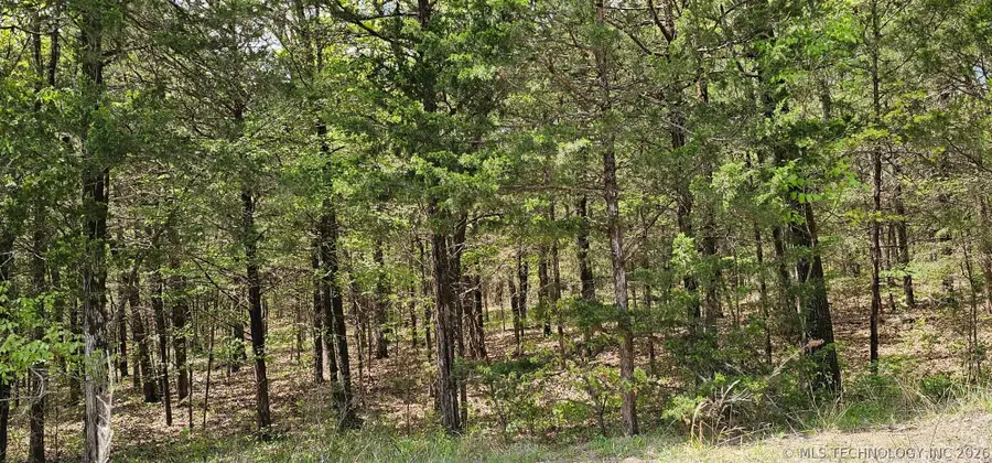 000000 E 1002 Road, Gore, OK 74435 - #3