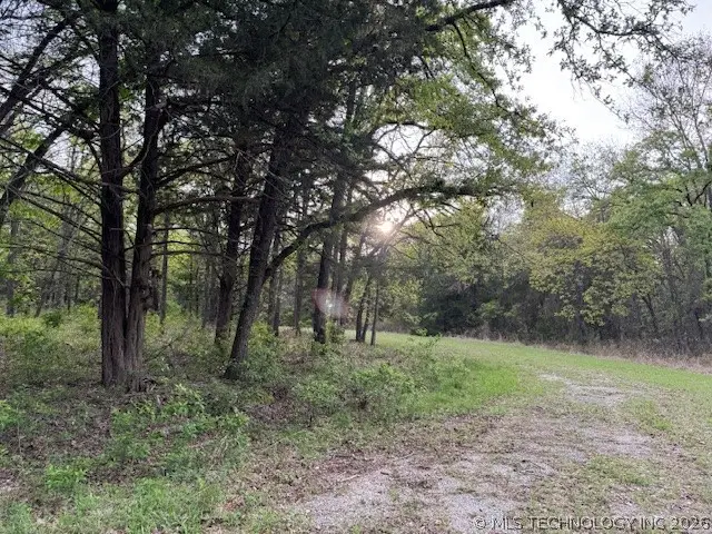 Coalgate, Burneyville, OK 73430 - #3