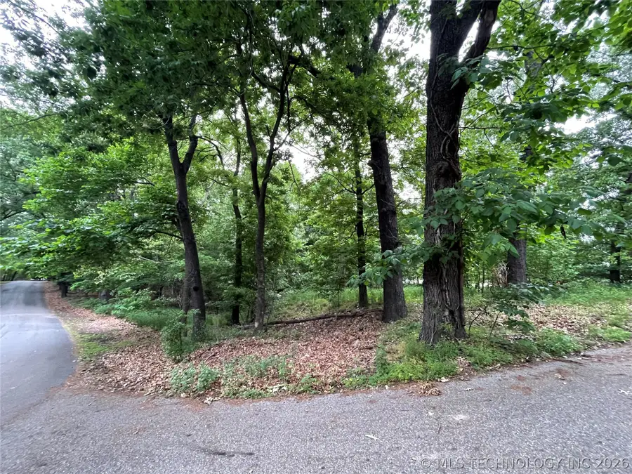 Gran Drive, Afton, OK 74331 - #3