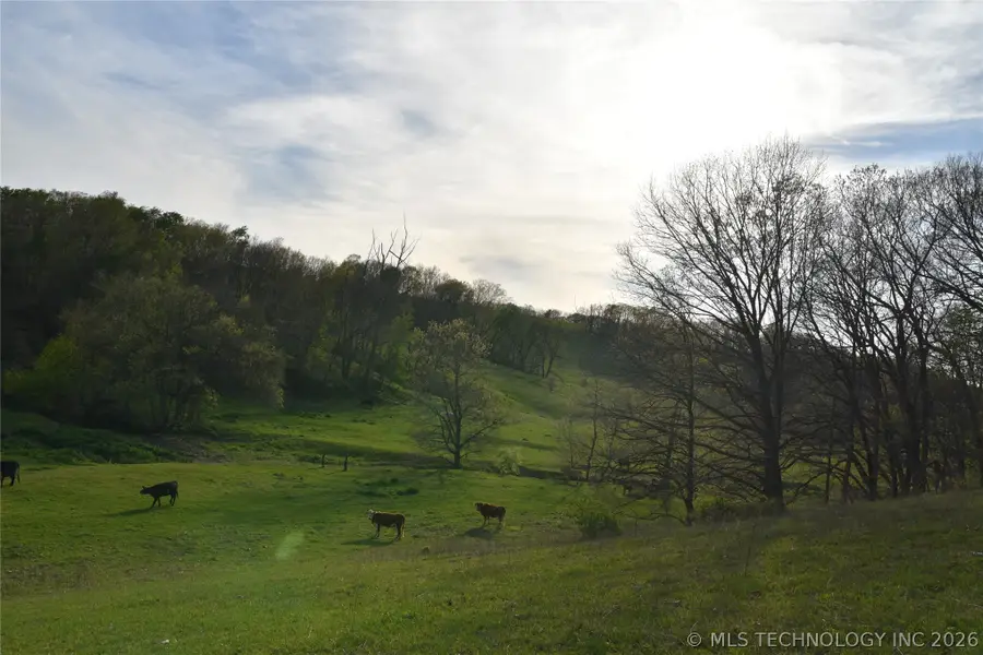 45507 S 660 Road, Jay, OK 74346 - #3