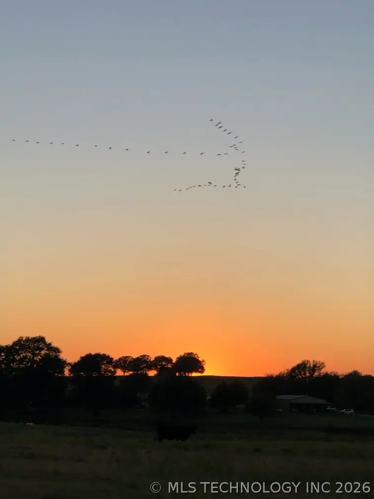 3 Shady Grove, Bennington, OK 74723 - #1