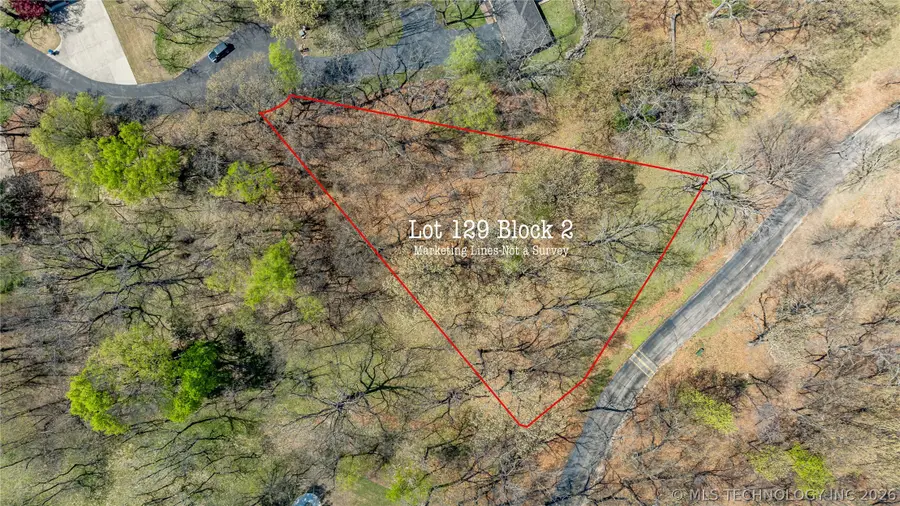 Blue Grouse Lane, Afton, OK 74331 - #2