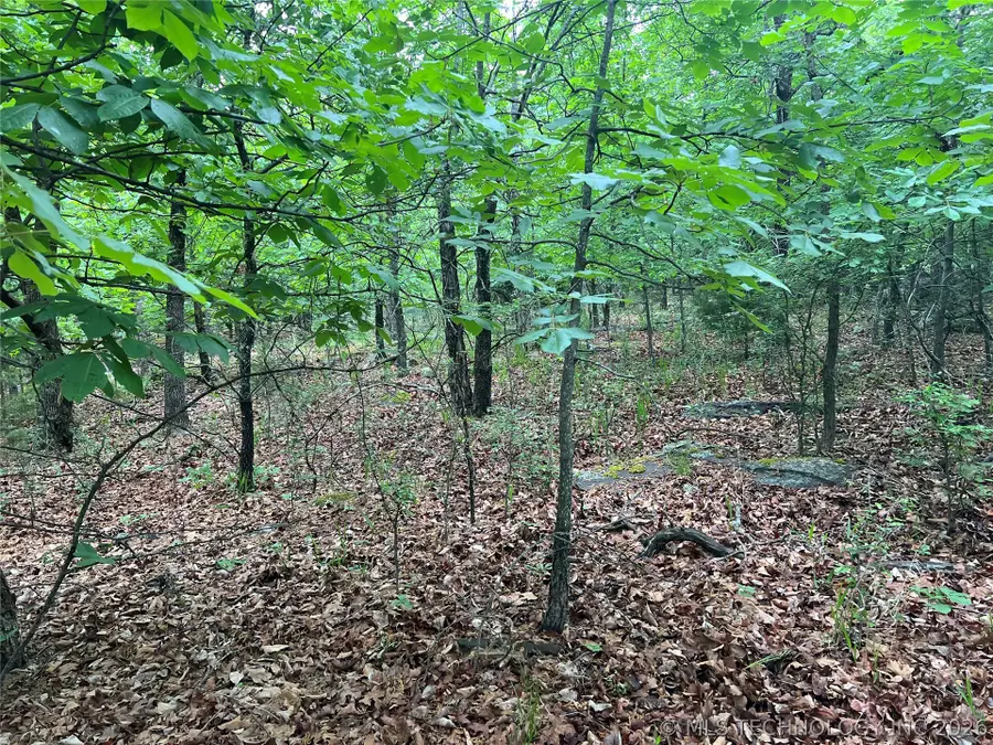 0 Bristow Point Road, McAlester, OK 74501 - #2