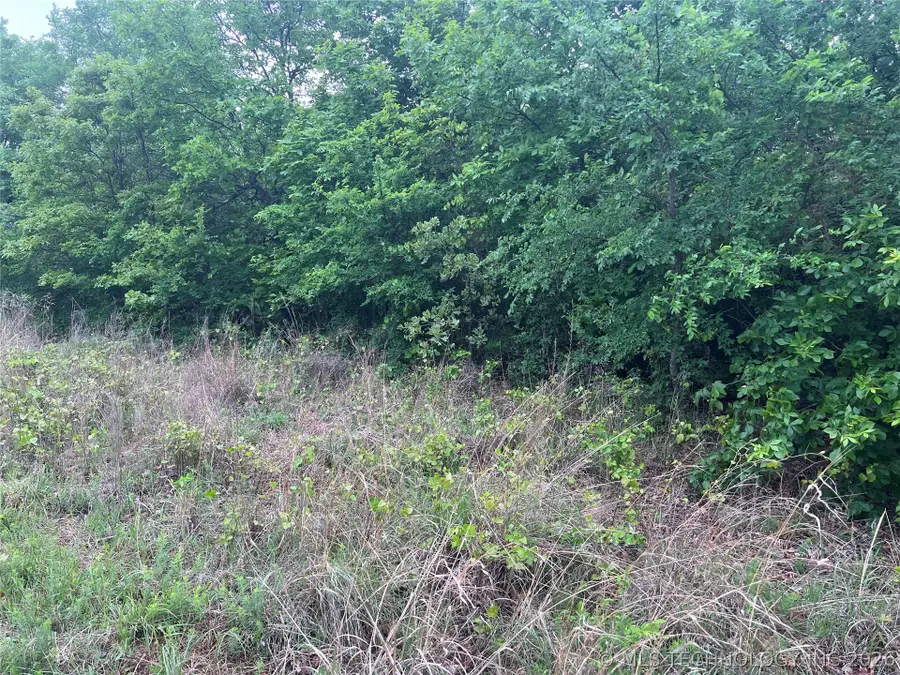 0 Bristow Point Road, McAlester, OK 74501 - #3