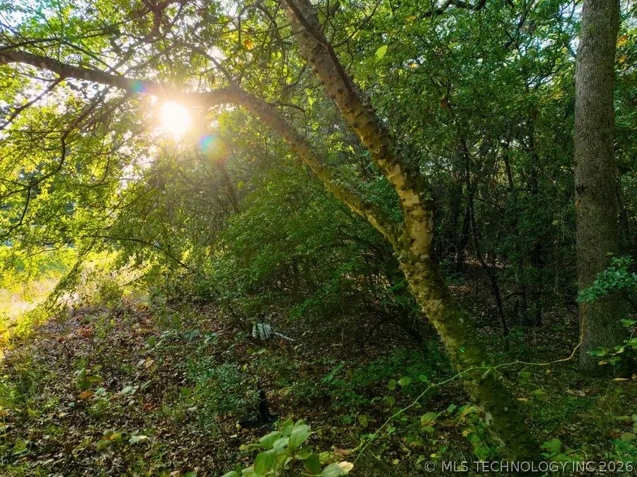 0 Pecan Road, Kingston, OK 73439 - #3