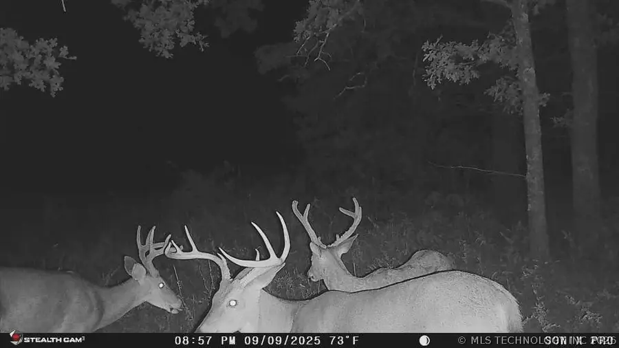 160 Bowring Road, Bartlesville, OK 74003 - #3