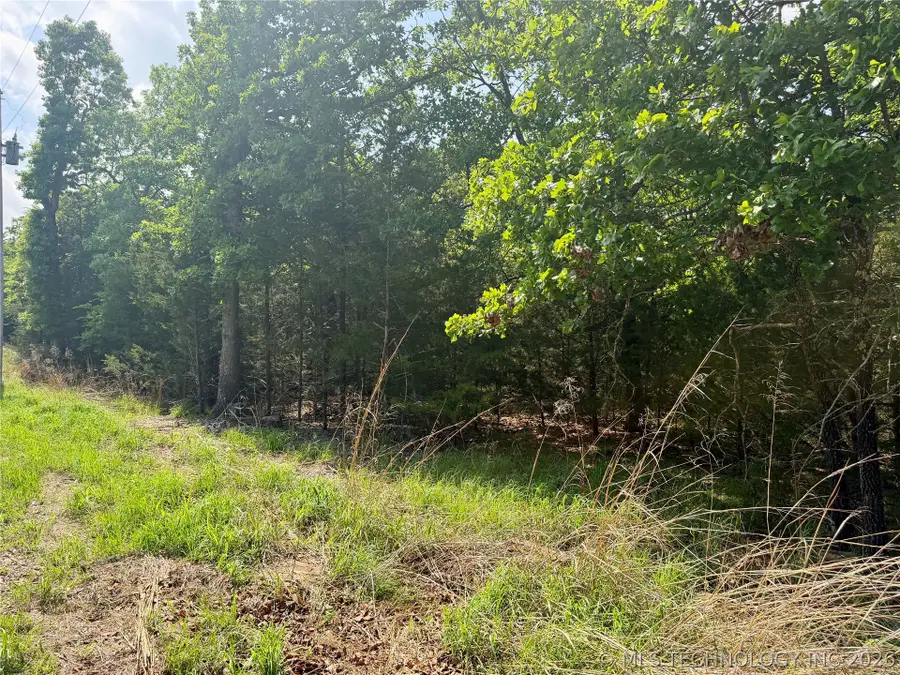 17 Council Tree Drive, Canadian, OK 74425 - #2