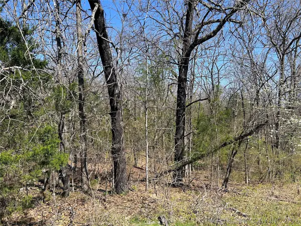 S Deer Run Road, Park Hill, OK 74451