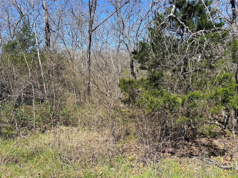 S Deer Run Road, Park Hill, OK 74451 - #2