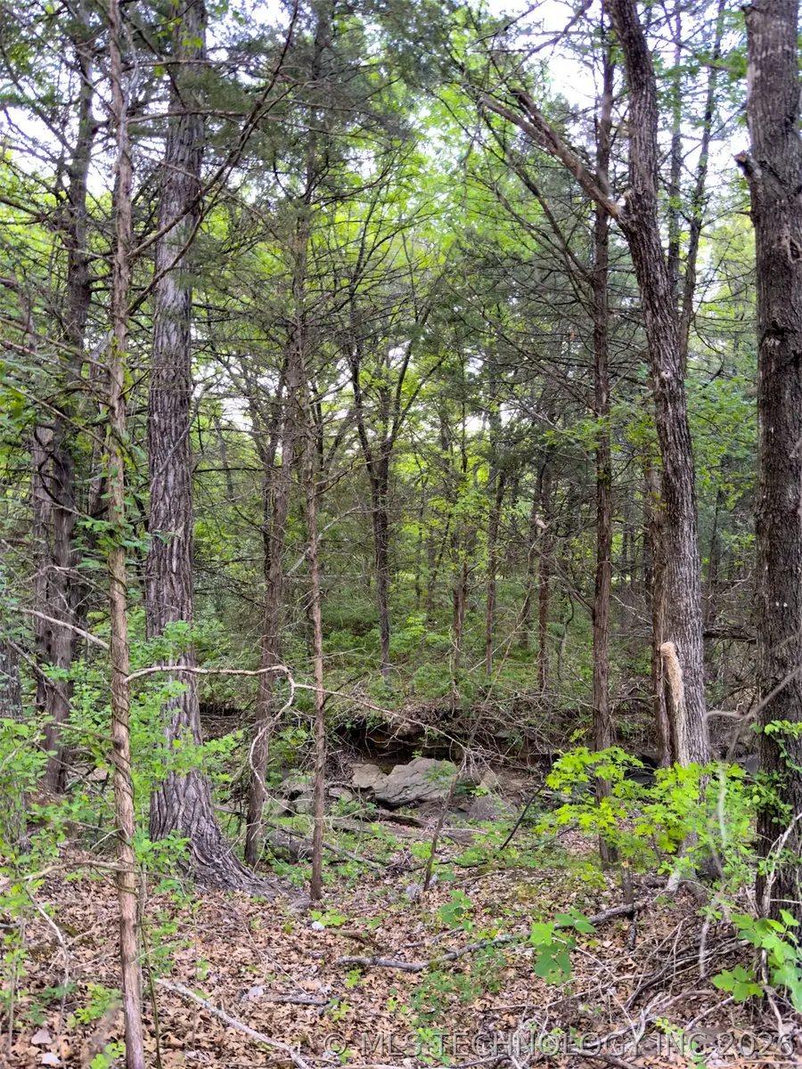 Bloomfield Road, Hendrix, OK 74741 - #2