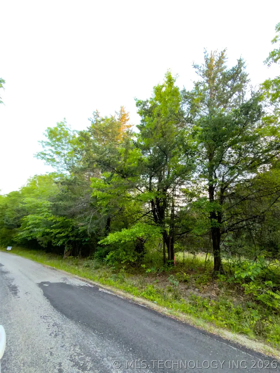 Bloomfield Road, Hendrix, OK 74741 - #3