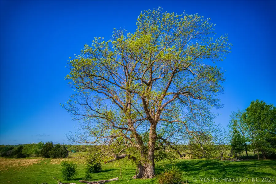 W Boggy Depot, Atoka, OK 74525 - #3