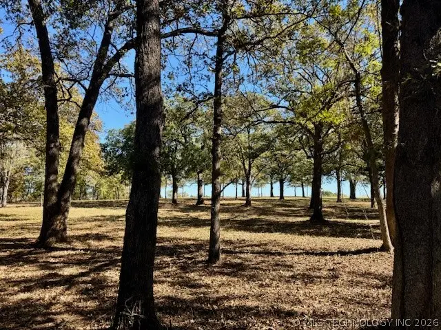 0003 Slab Road, Wapanucka, OK 73461 - #1