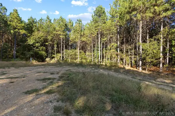 134 Wolf Tree Trail, Broken Bow, OK 74728