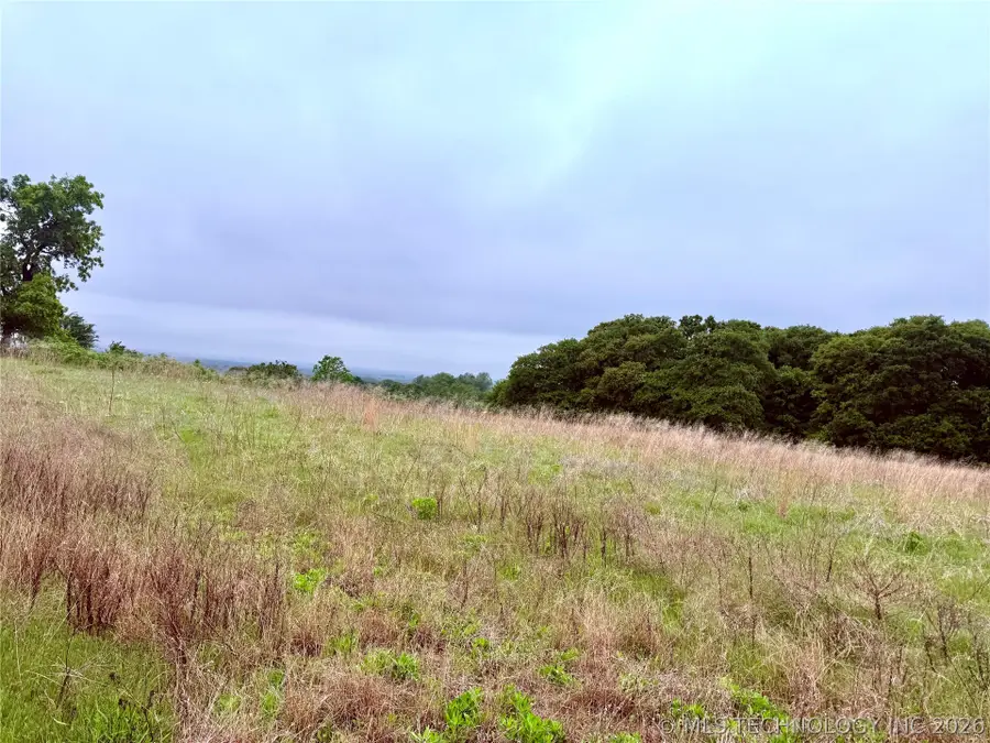 County Road 1600, Stonewall, OK 74871 - #3