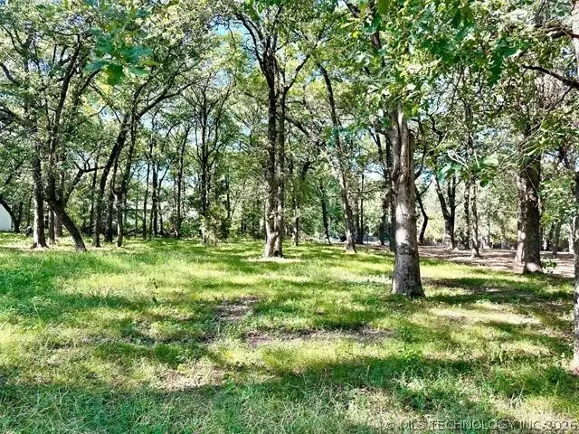 0 Treeline Trail, Kingston, OK 73439 - #2