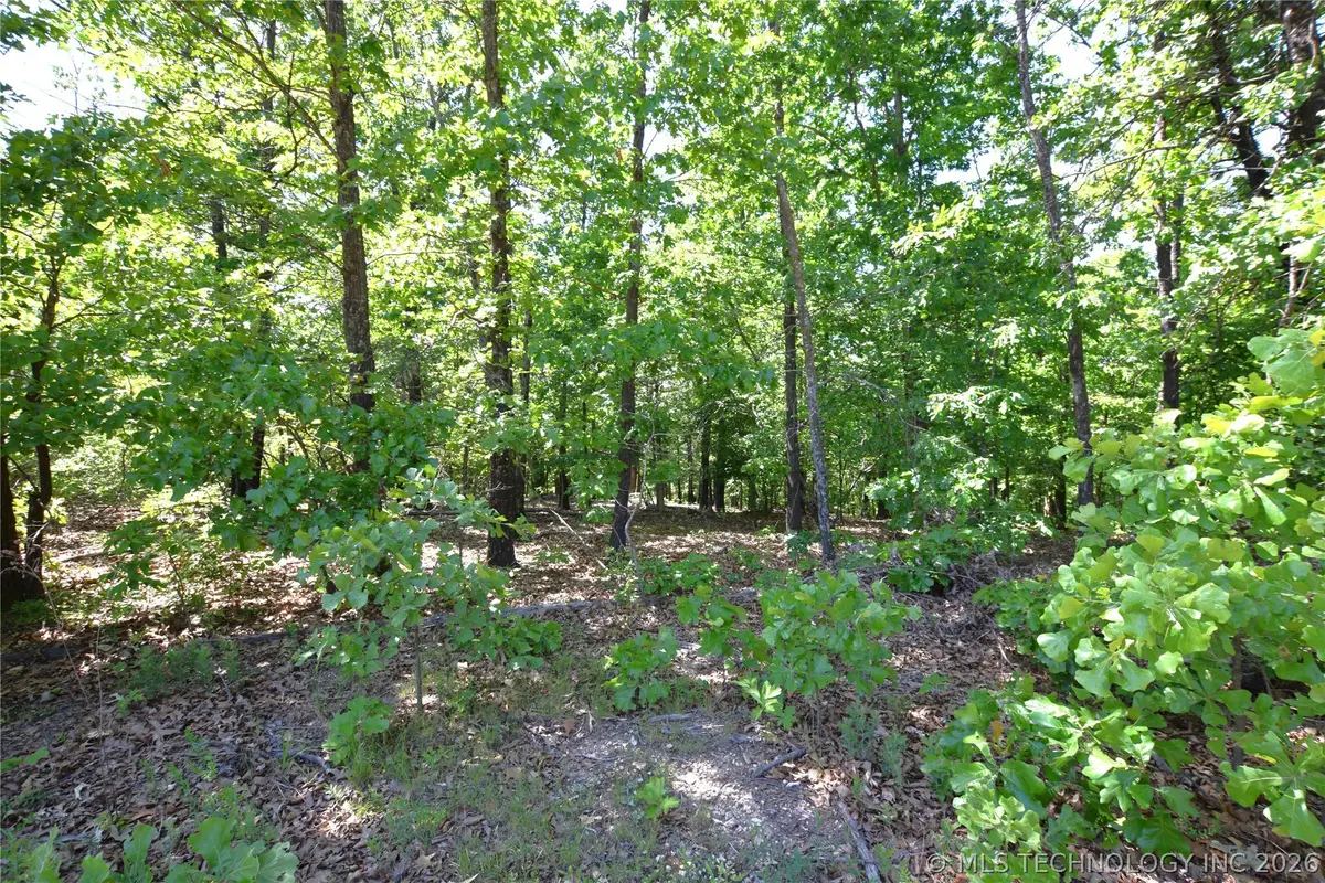 6387 Sacred Fire Ridge Road, Proctor, OK 74457 - #1