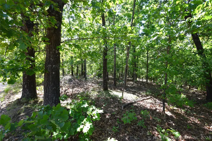 6387 Sacred Fire Ridge Road, Proctor, OK 74457 - #3