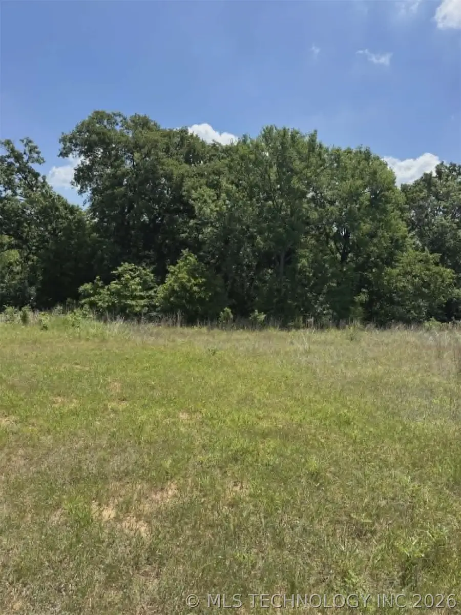 Lowery Road, Madill, OK 73446 - #3