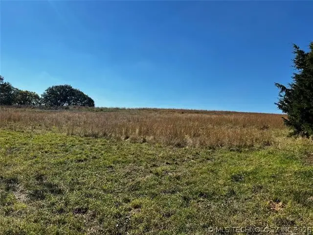 11247 S Buckholt, Caddo, OK 74729 - #1