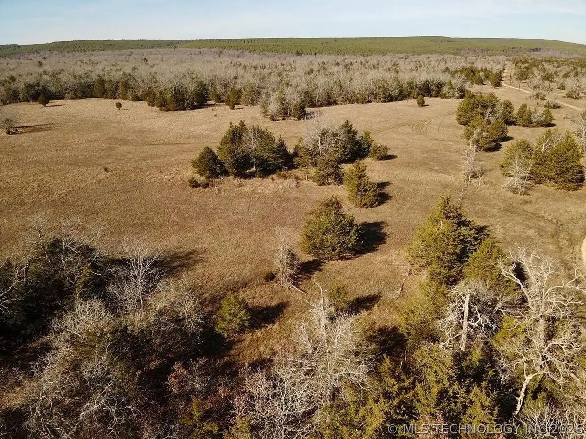 Lake, Antlers, OK 74523 - #1
