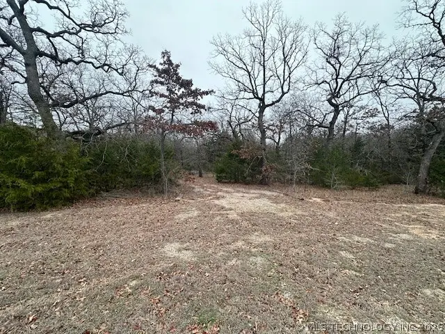 1962 Mainstay, Kingston, OK 73439 - #3