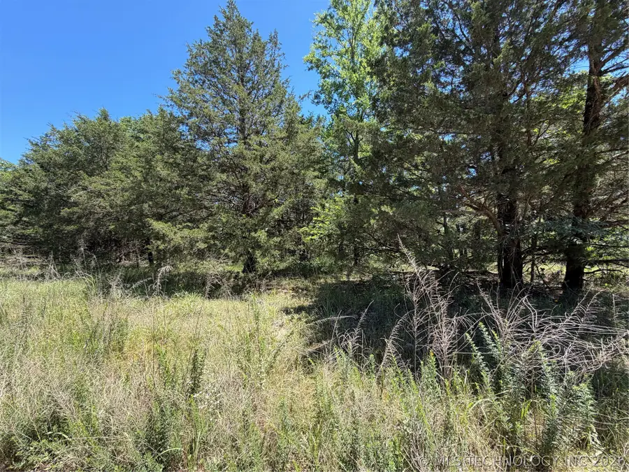 John's Valley Road, Moyers, OK 74557 - #2