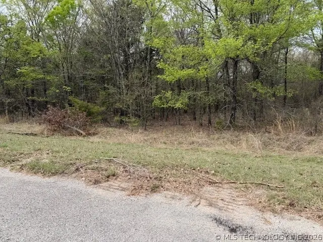 60 Arrowhead, Burneyville, OK 73430 - #1