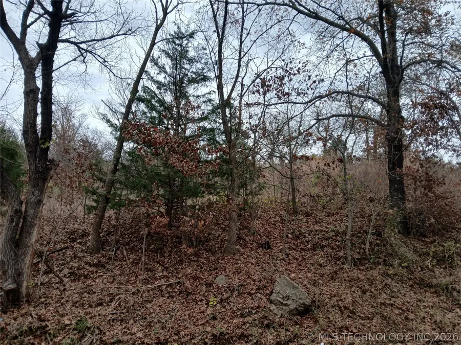 Sahoma Lake Road, Sapulpa, OK 74066 - #2