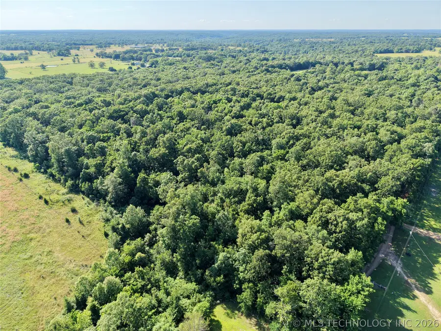 16835 E 390 Road, Jay, OK 74346 - #2