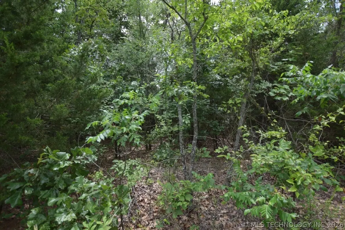 3 E 984, Vian, OK 74962 - #1