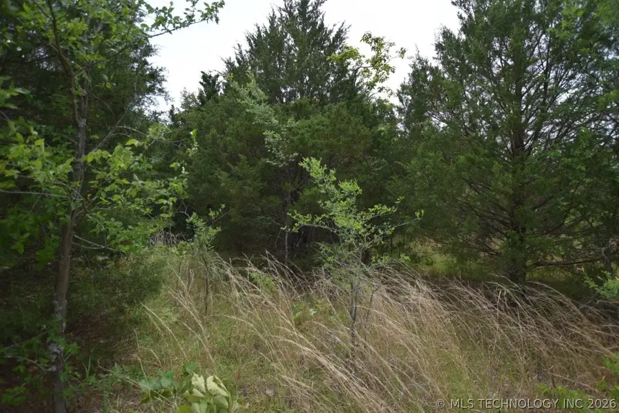 3 E 984, Vian, OK 74962 - #2