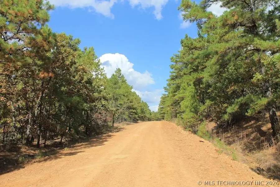 Wagonwheel Road, Hartshorne Haileyville, OK 74525 - #1