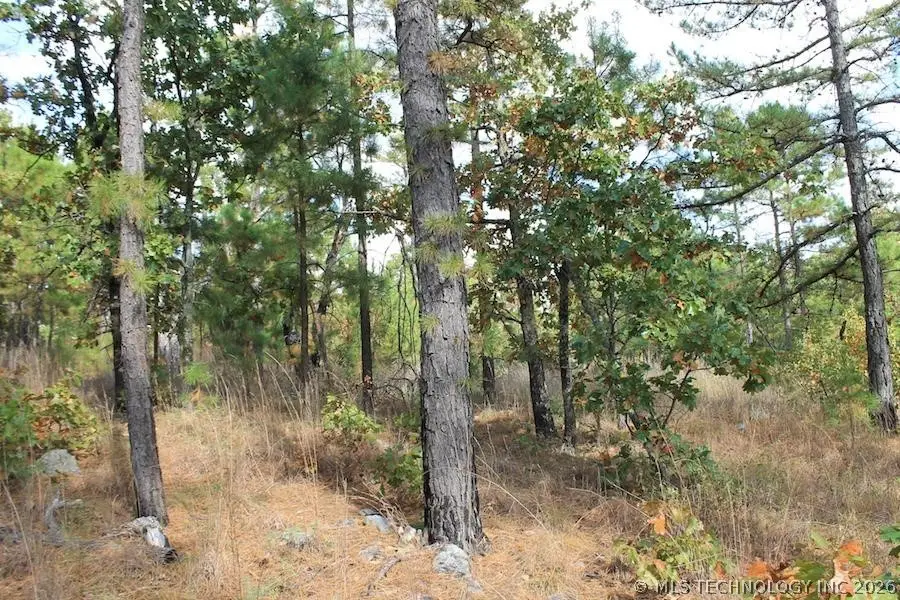 Wagonwheel Road, Hartshorne Haileyville, OK 74525 - #2