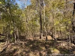 687 Road, Locust Grove, OK 74352 - #1