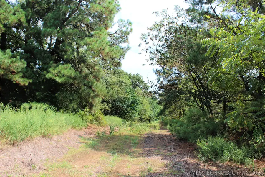 52 Peaceful Home Road, Valliant, OK 74764 - #3