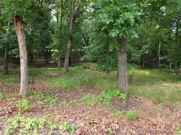 Eagles Nest Drive, Disney, OK 74340