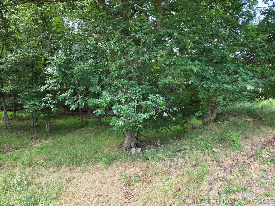 Eagles Nest Drive, Disney, OK 74340 - #2