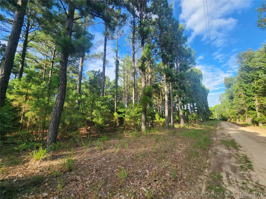 N County Road, Hugo, OK 74743 - #3